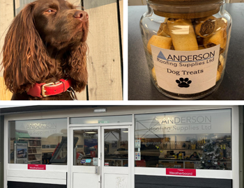 Anderson Roofing Supplies is Now Dog-Friendly! Article Image