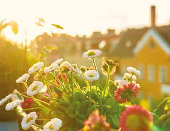 Spring Has Sprung: Time for a Roof Inspection to Protect Your Home