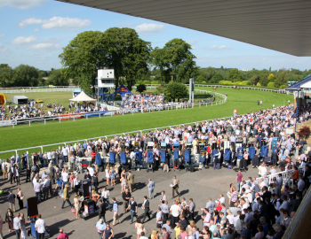 Windsor Races 10 Years Trading